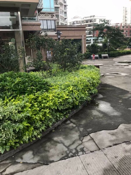 金城湾花园,嵩屿南二里101-103号-厦门金城湾花园二手房,租房,房价