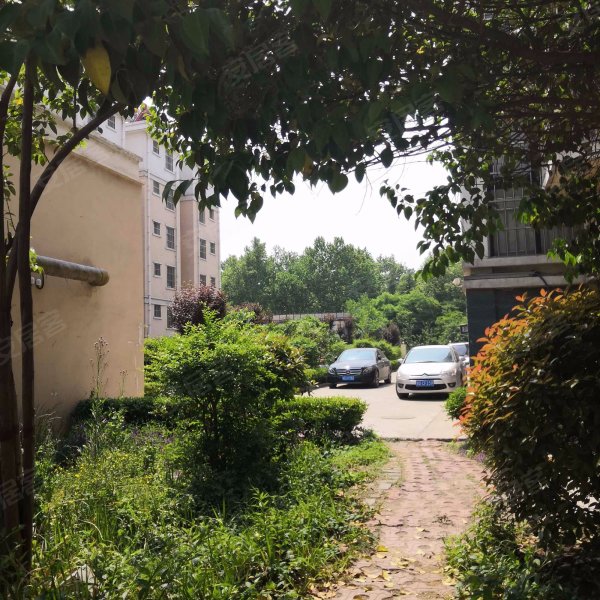 海纳花园,解放南路177号-枣庄海纳花园二手房,租房,房价-枣庄安居客