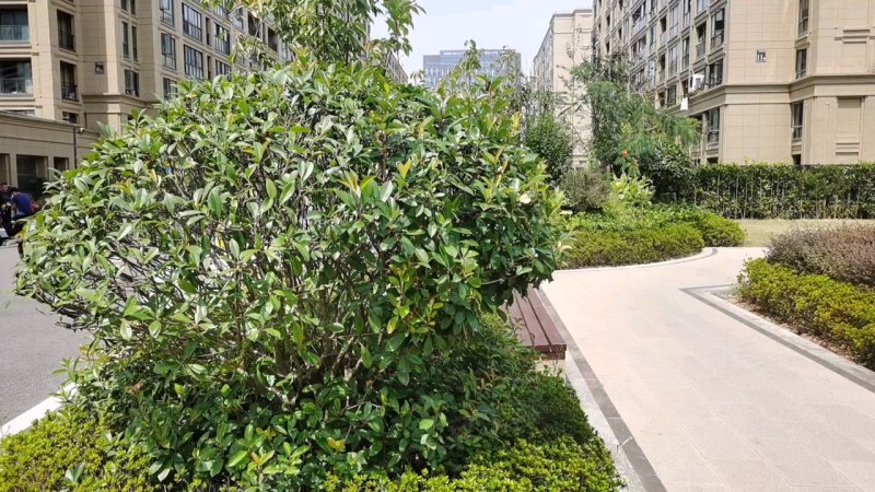 万阳花园北区,万阳路50号-舟山万阳花园北区二手房,租房,房价-舟山