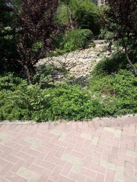 万科清林径(公寓住宅) 