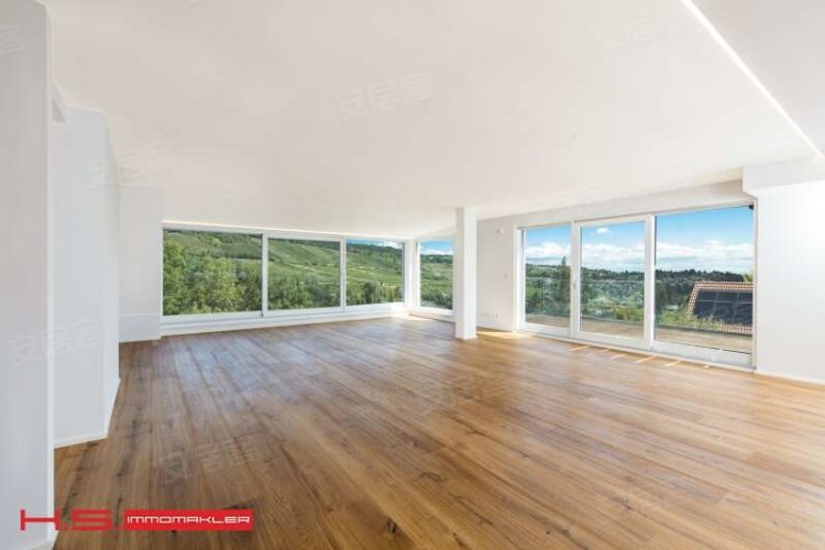 奥地利维也纳约¥1271万AustriaViennaApartment出售二手房公寓图片