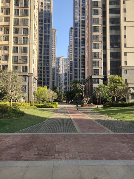 紫金莲园,五星路1号-龙岩紫金莲园二手房,租房,房价-龙岩安居客