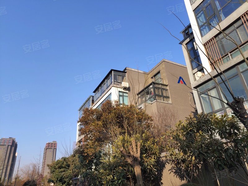 周口建业联盟新城别墅图片