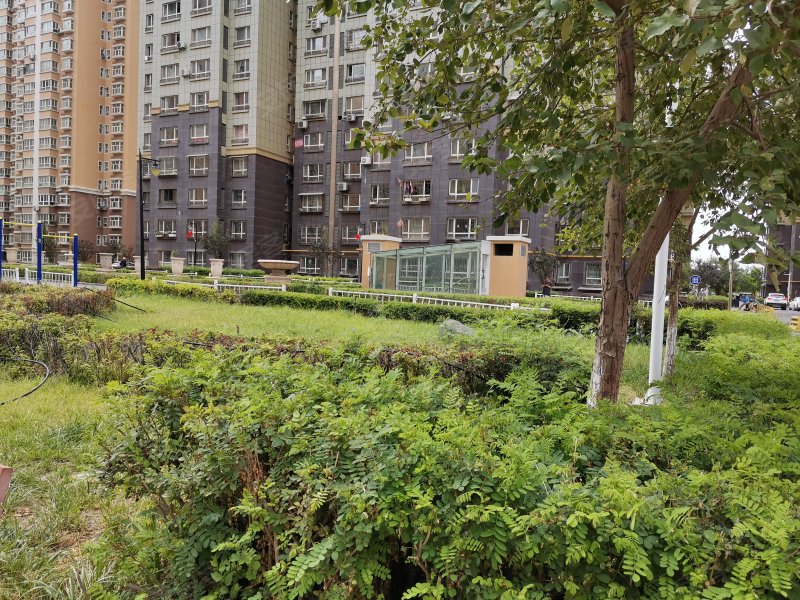 有色金鑫花园小区