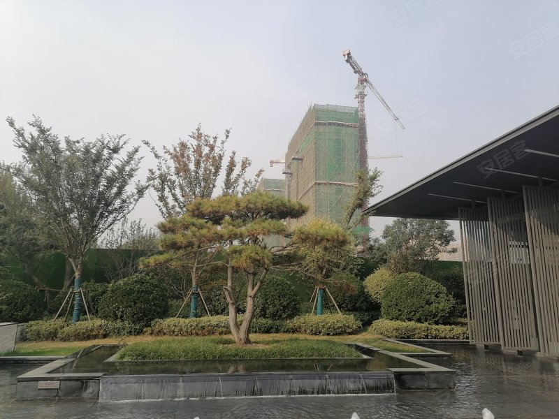 新力帝泊湾,通亭街150号-潍坊新力帝泊湾二手房,租房,房价-潍坊安居客