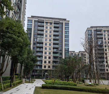 龙湖春江天镜江涞