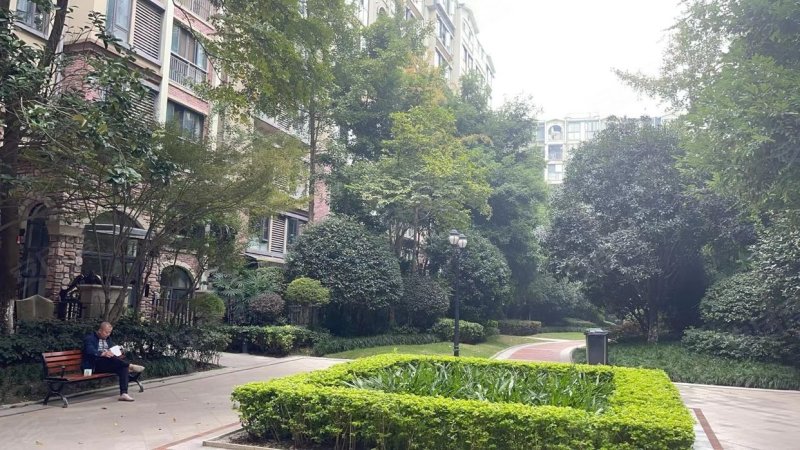 新希望皇冠国际