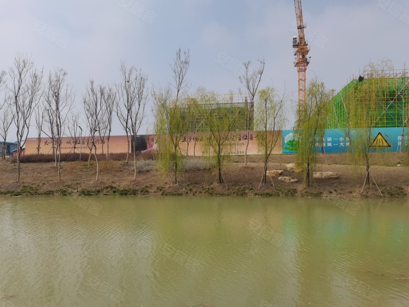 颍州正荣府,阜南路,近八里松路-阜阳颍州正荣府二手房,租房,房价-阜阳