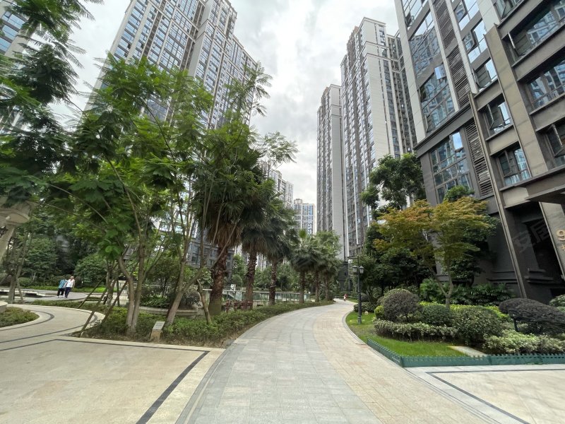 戛纳湾金棕榈(商住楼)