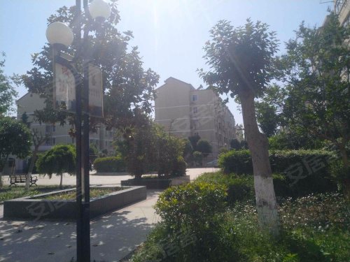 林城花园,玉带街55号 - 东台林城花园二手房,租房,房价-东台安居客