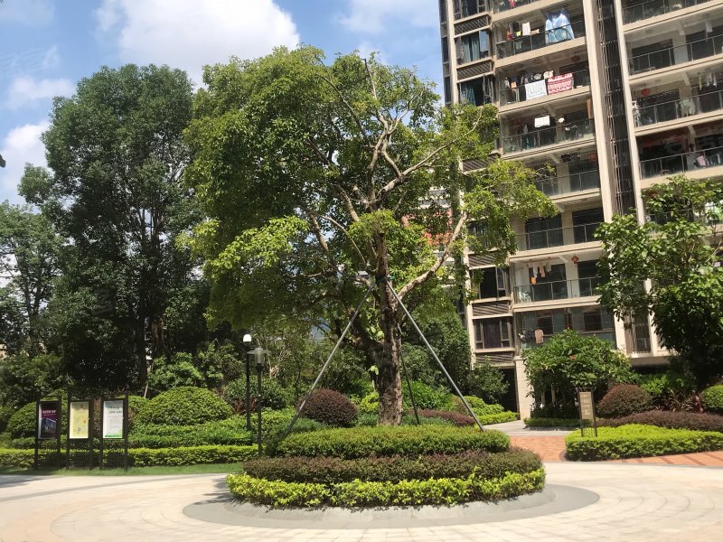 雅颂居,九华大道666号-莆田雅颂居二手房,租房,房价-莆田安居客