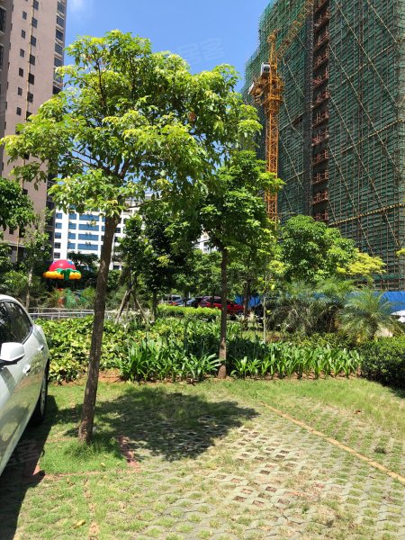 金源小区,美祥东路6号-海口金源小区二手房,租房,房价-海口安居客