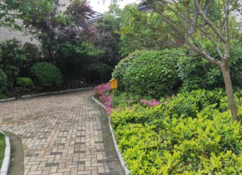 兰郡九里澜溪谷 