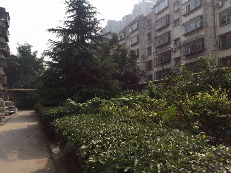 新苑小区(南区)