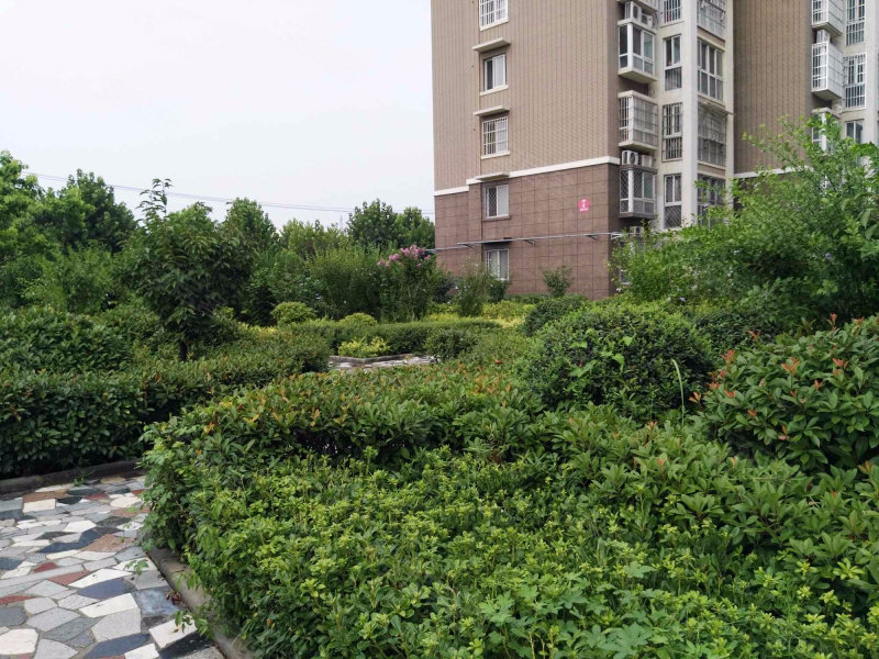 徐州坡里花园图片