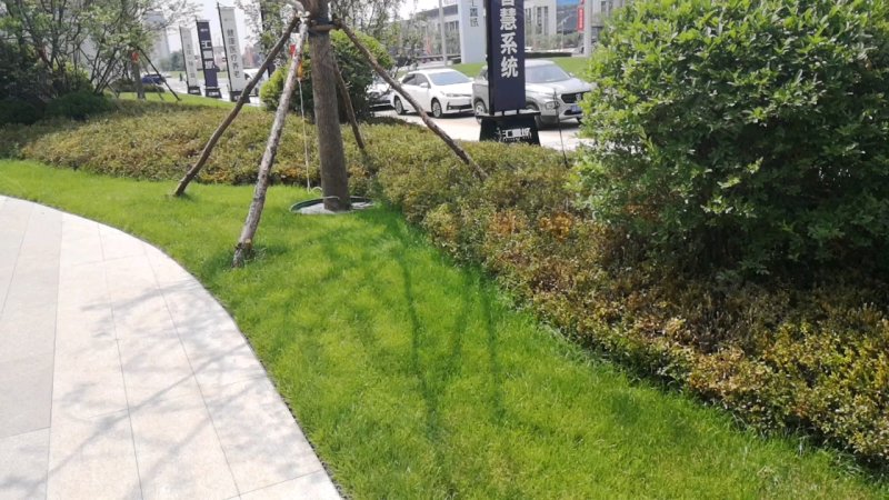 汇置城中央公园