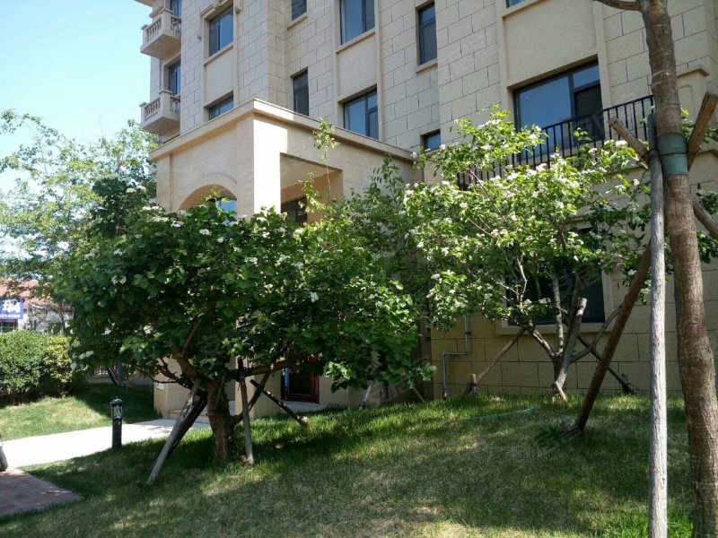 恒信伯爵庄园,宏伟南路,近玉泉街-潍坊恒信伯爵庄园二手房,租房,房价