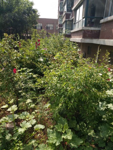 江山别院(南院),千山西路6-5号-沈阳江山别院(南院)二手房,租房,房价