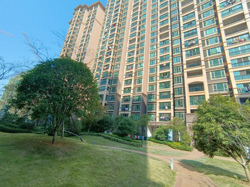 怡福凯怡半山,宜春大道588号-宜春怡福凯怡半山二手房,租房,房价-宜春