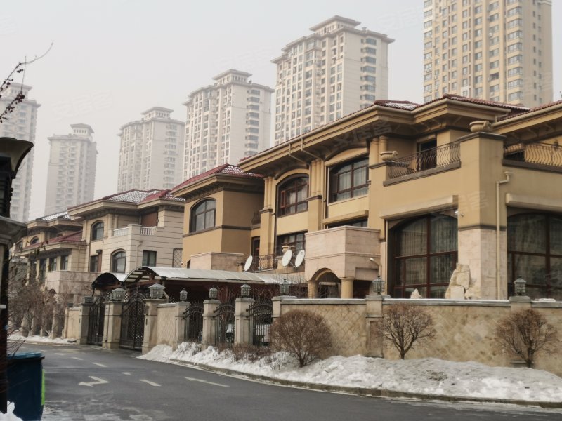 碧桂园银河城(b区别墅)