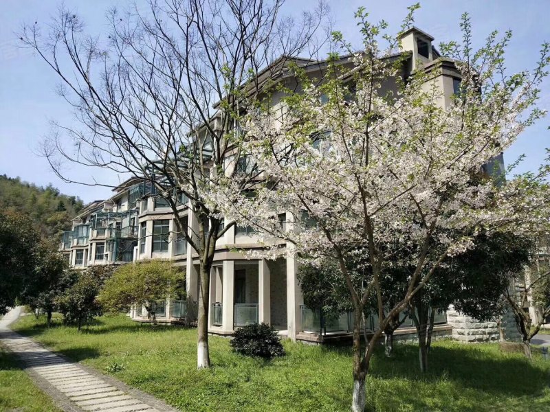 绿野春天家园(公寓住宅),里东路,近闲富公路-杭州绿野春天家园(公寓