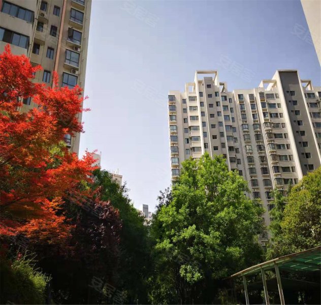 天地源枫林绿洲,科技四路2号-西安天地源枫林绿洲二手房,租房,房价