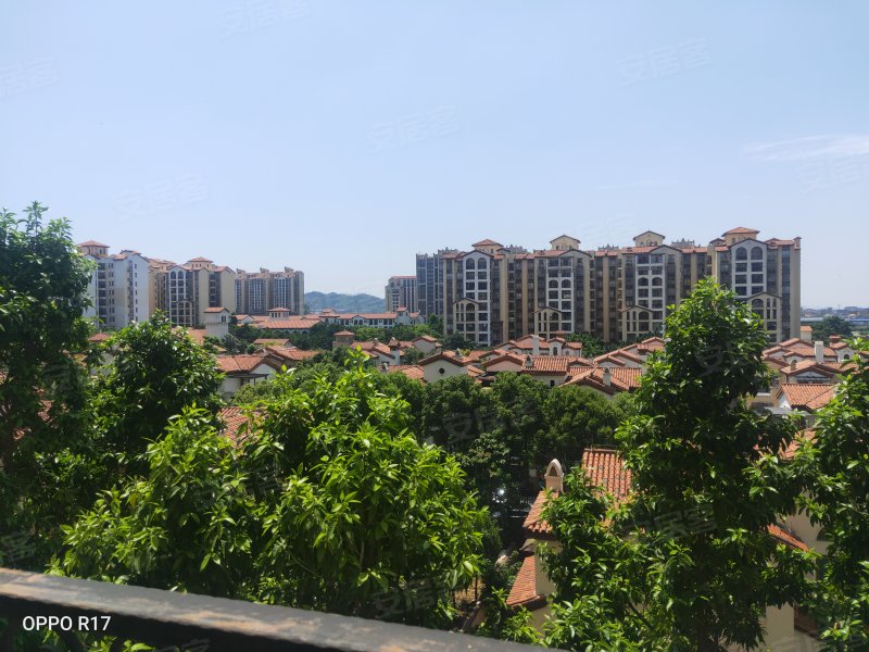 富力金港城