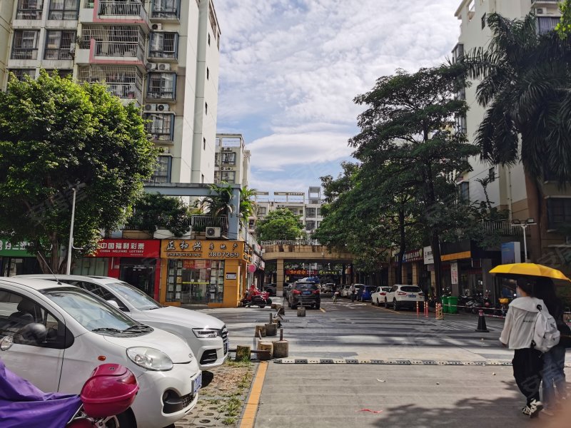 富宁新兴苑(北区)