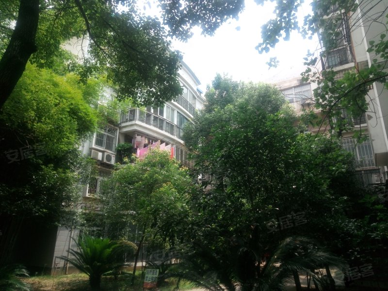 东湖山庄,东湖路180号-武汉东湖山庄二手房,租房,房价-武汉安居客