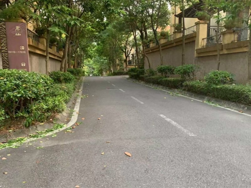 花样年君山(别墅)