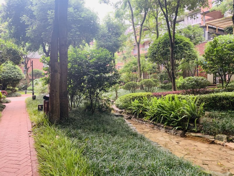 龙湖悠山香庭,礼仁街11号-重庆龙湖悠山香庭二手房,租房,房价-重庆