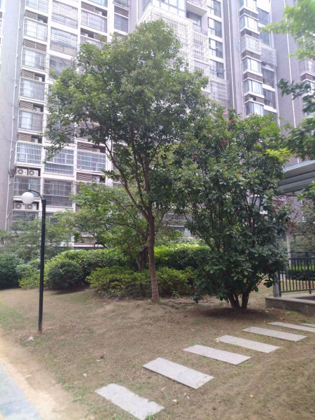 天山绿洲三期a区,淮海西路268号-徐州天山绿洲三期a区二手房,租房