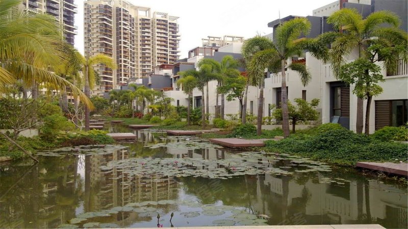 凤凰水城御河湾,三亚河东路555号-三亚凤凰水城御河湾二手房,租房