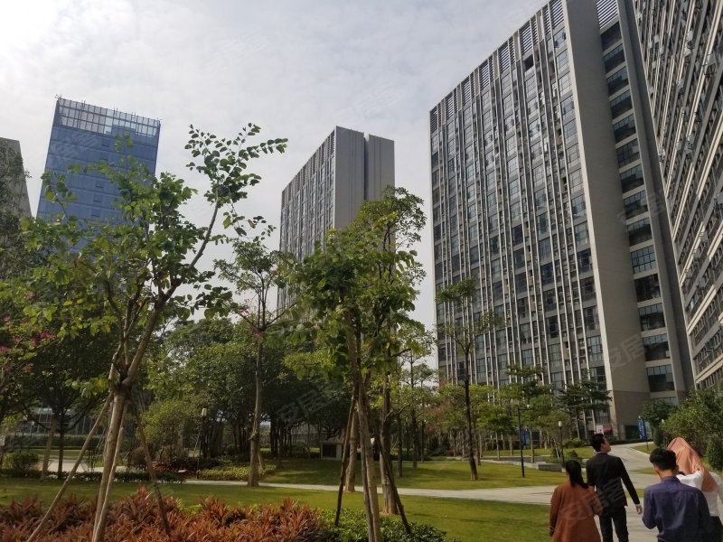 黄沙岗小区,黄沙岗大街18号-广州黄沙岗小区二手房,租房,房价-广州