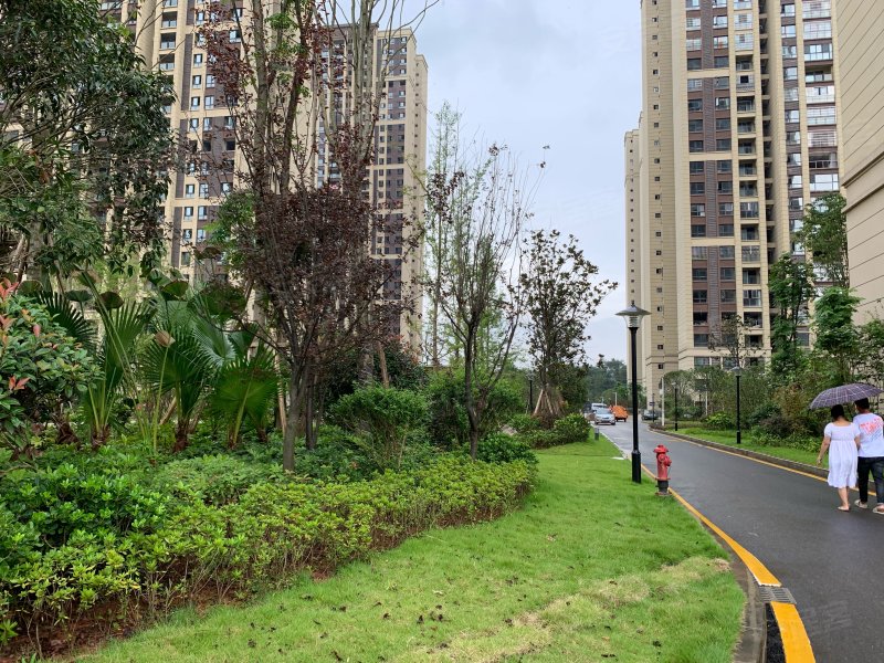 潼南观澜华府,向阳路,近莲花西路-重庆潼南观澜华府二手房,租房,房价