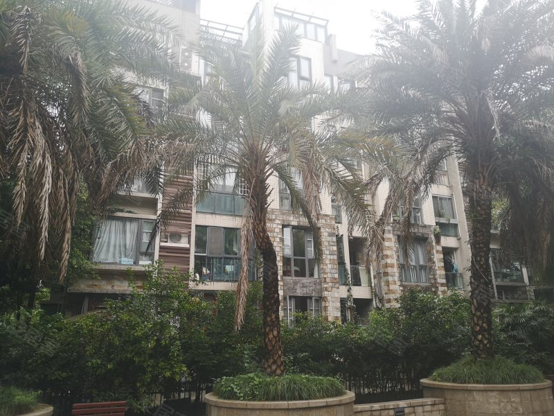 中海国际社区蓝岸a区,汇川街299号-成都中海国际社区蓝岸a区二手房