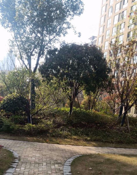 芳满庭,长安路,近华丰路-嘉兴芳满庭二手房,租房,房价-嘉兴安居客