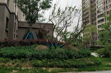 中房万科翡翠湖望,虹桥街 - 银川中房万科翡翠湖望二手房,租房,房价