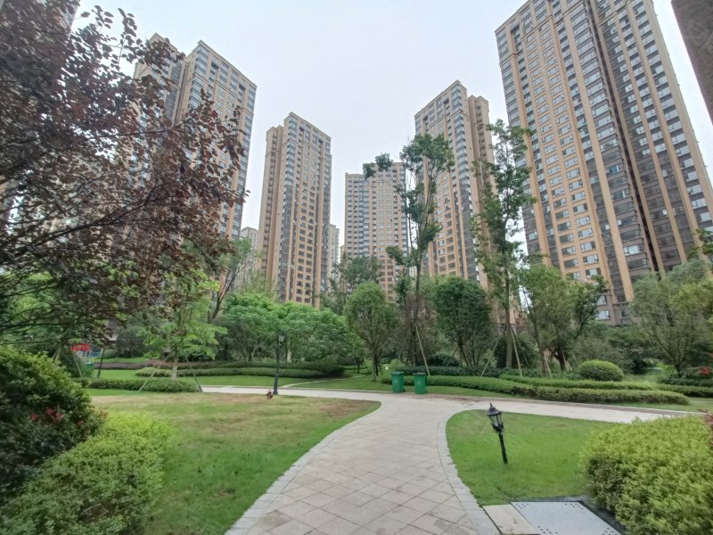 鸿通凤凰国际,三苏路,近瑞祥路-乐山鸿通凤凰国际二手房,租房,房价