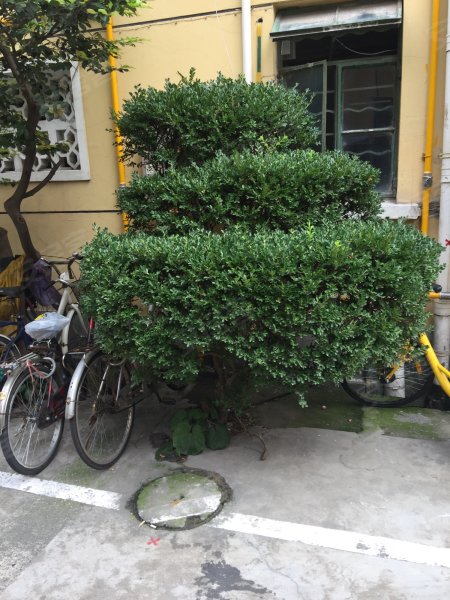 日晖五村,茶陵路225弄-石家庄日晖五村二手房,租房,房价-石家庄安居客