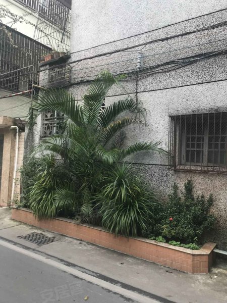 滨海新村,景湾路-海口滨海新村二手房,租房,房价-海口安居客