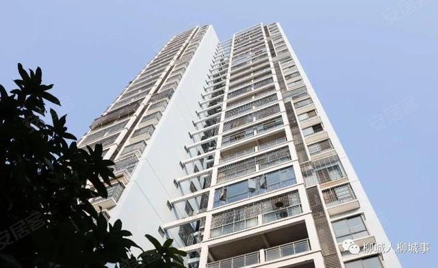柳城县国土局3室2厅115.51㎡31.8万二手房图片