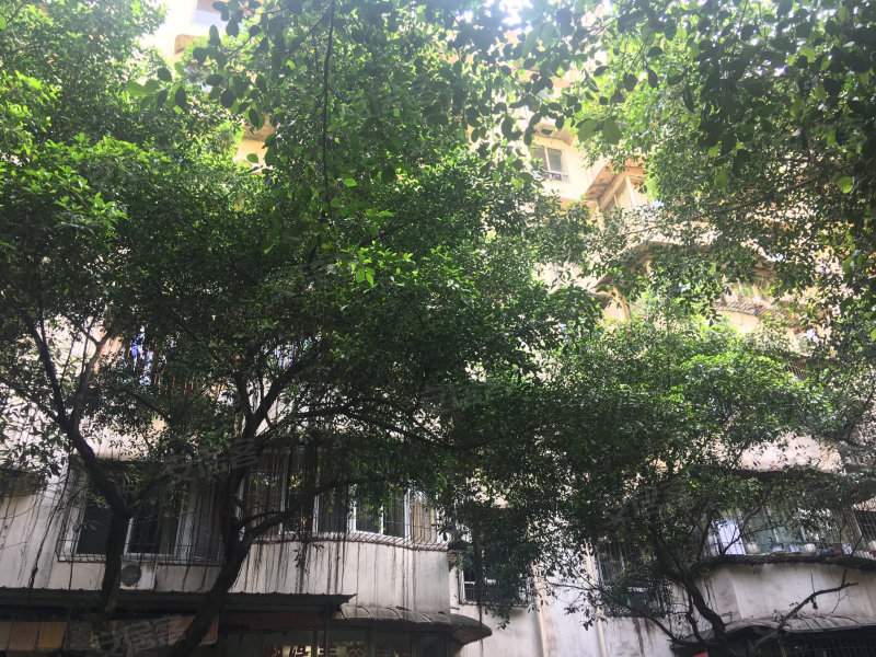 白果小区