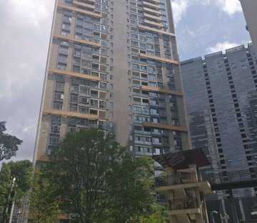 中天未来方舟F1组团