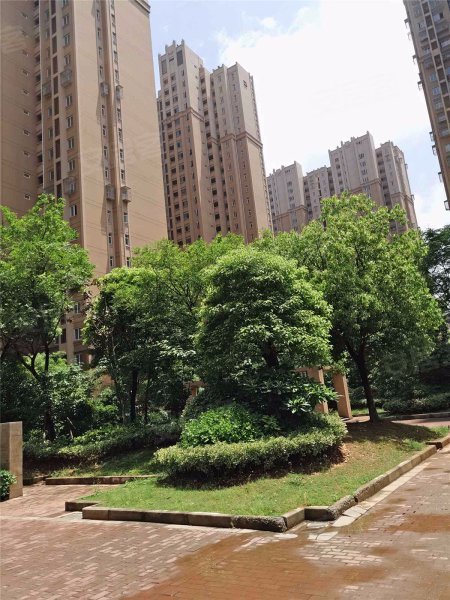 花港幸福城牡丹园