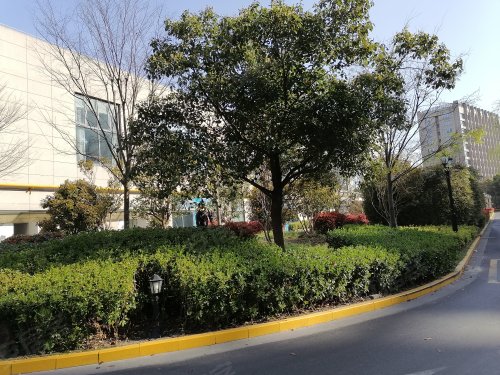 南翔东方伟业广场