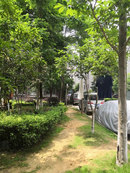 书香名邸(澧县)