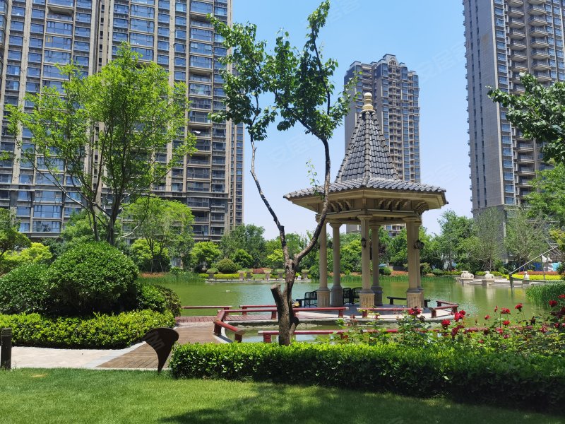 恒大名都,大成路-周口恒大名都二手房,租房,房价-周口安居客