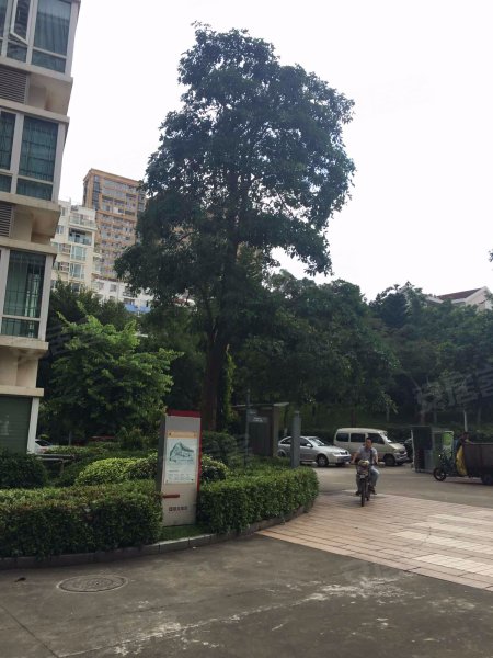 裕发花园,兴山路28-124号-厦门裕发花园二手房,租房,房价-厦门安居客