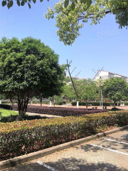 梅苑小区,泰山南路-南京梅苑小区二手房,租房,房价-南京安居客